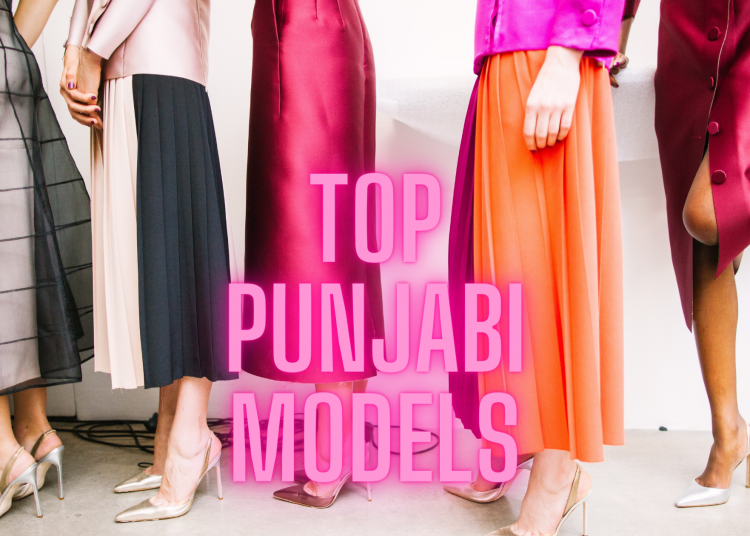 Top Punjabi Models