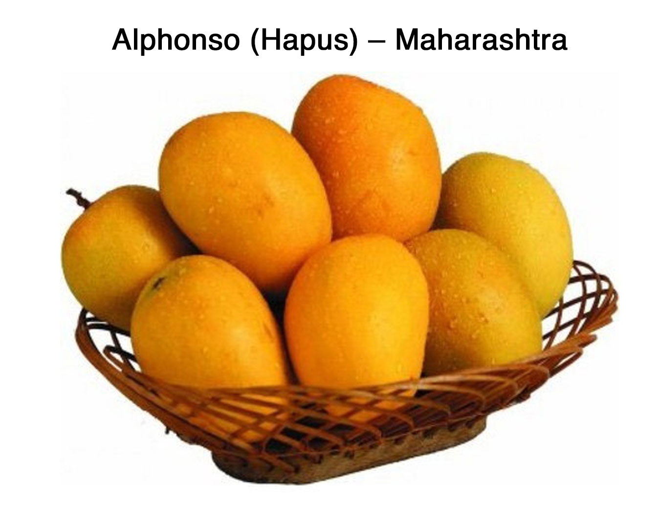 Alphonso (Hapus) – Maharashtra
