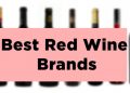 Best Red Wine Brands Available in India with Price