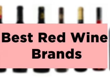 Best Red Wine Brands Available in India with Price