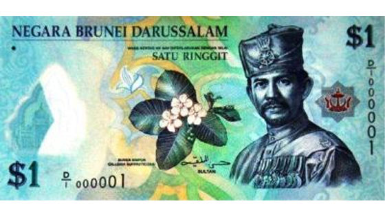Brunei-Dollar