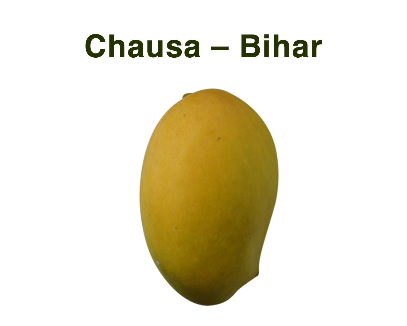 varieties of mangoes - Chausa-–-Bihar