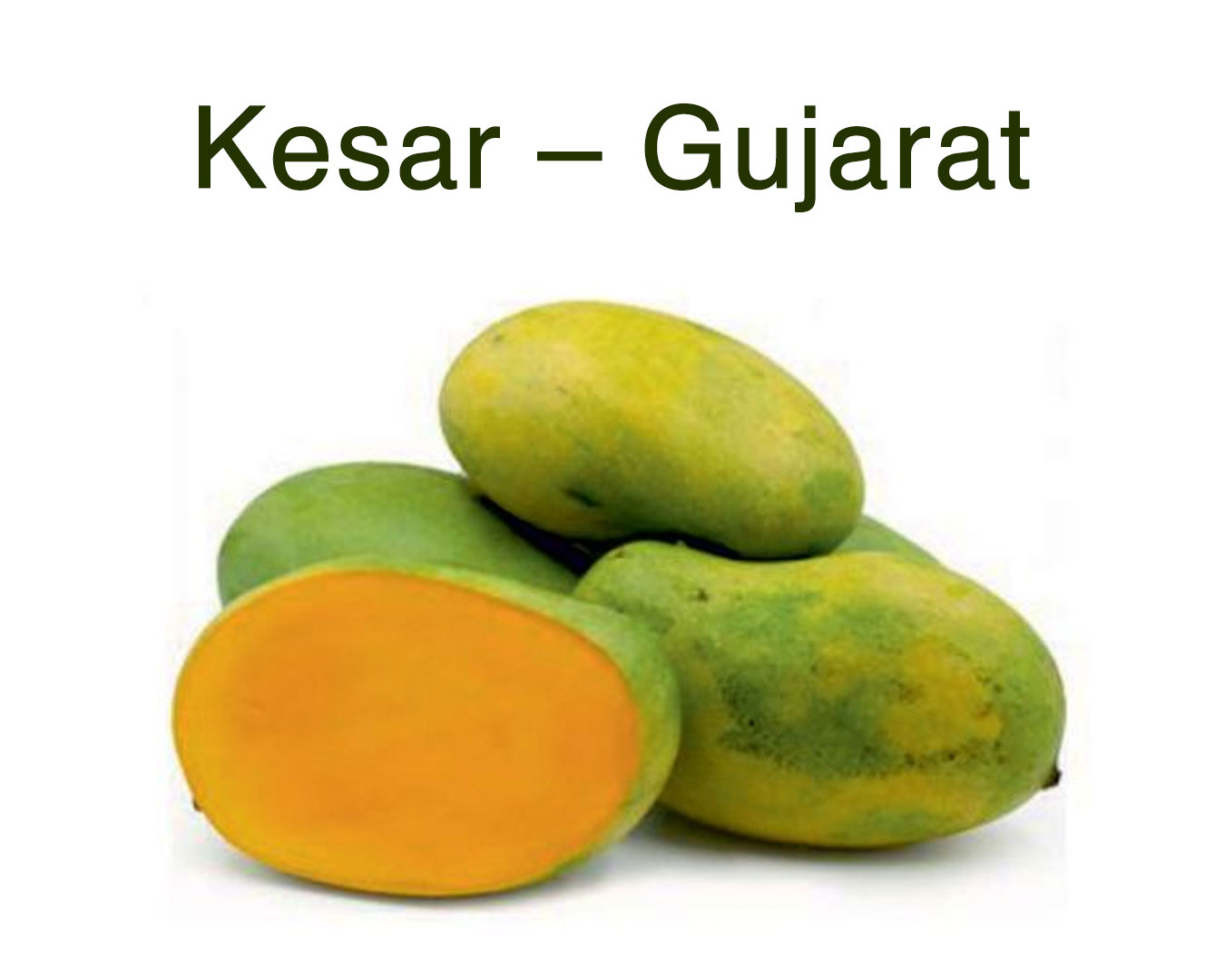 Kesar – Gujarat