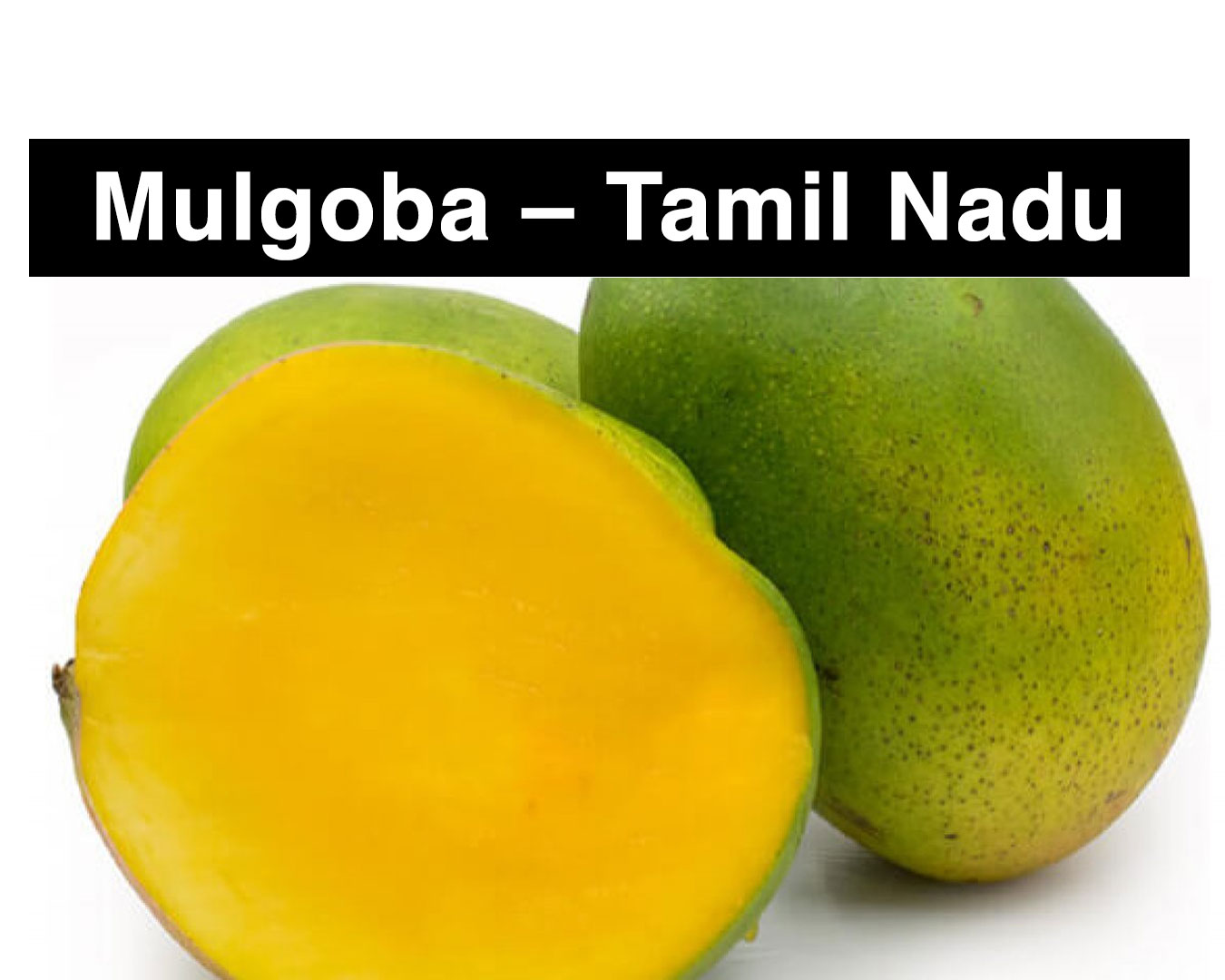 varieties of mangoes - Mulgoba – Tamil Nadu