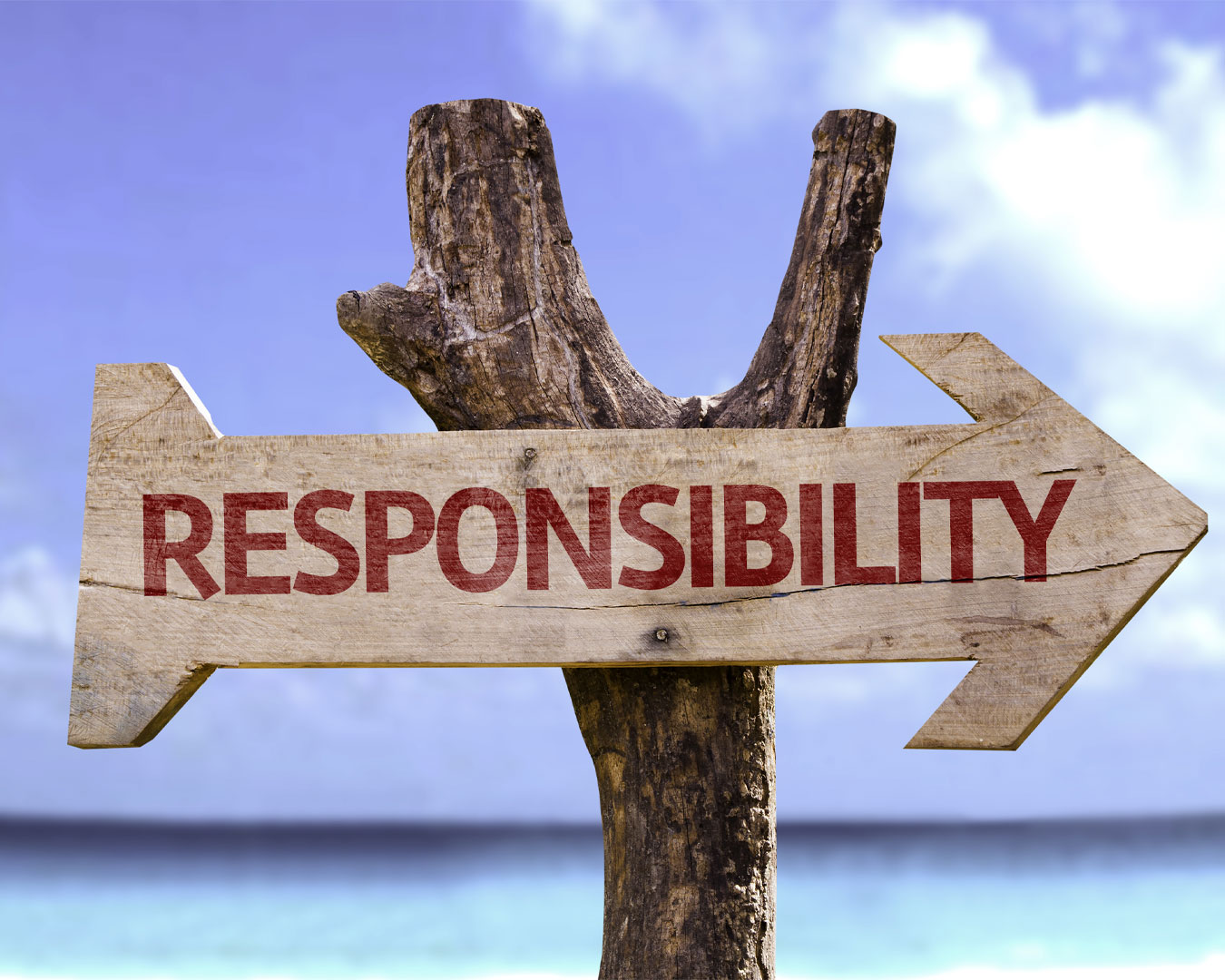 Take-up-the-responsibility