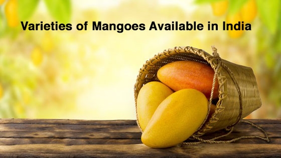 The-Top-10-Varieties-of-Mangoes-Available-in-India