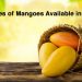 The-Top-10-Varieties-of-Mangoes-Available-in-India