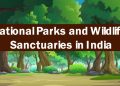 Top 12 National Parks and Wildlife Sanctuaries in India