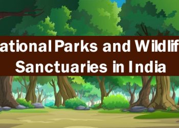 Top 12 National Parks and Wildlife Sanctuaries in India