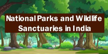 Top 12 National Parks and Wildlife Sanctuaries in India