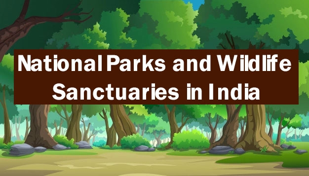 Top 12 National Parks and Wildlife Sanctuaries in India