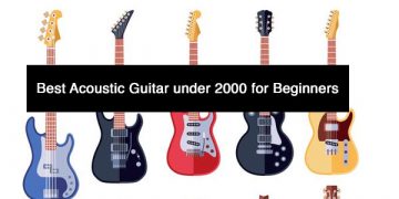 Best Acoustic Guitar under 2000 for Beginners