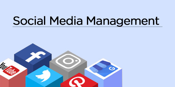 Social Media Management 