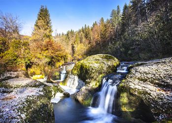 Best Waterfalls to Visit near Mumbai Enjoy Mumbai Monsoon