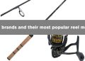The best fishing brands and their most popular reel models