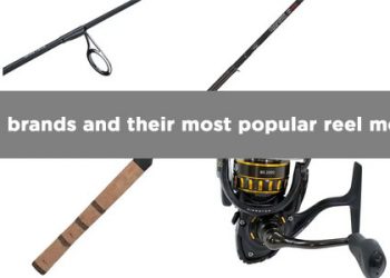 The best fishing brands and their most popular reel models