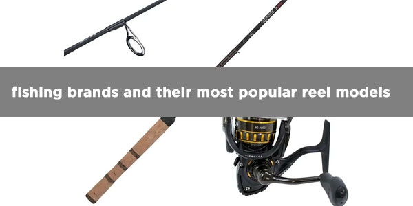 The best fishing brands and their most popular reel models