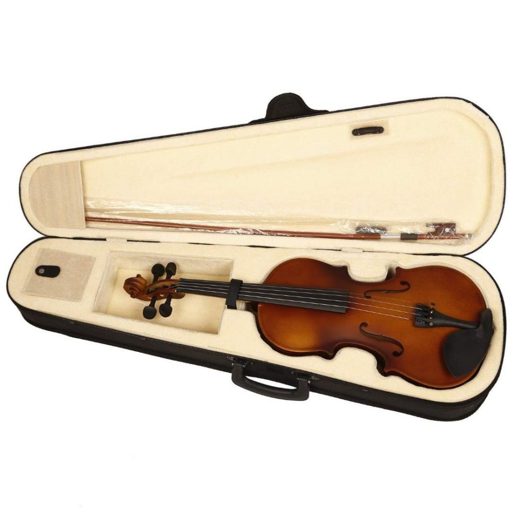 Best Violin Brands for Amateur and Advanced Violinists