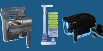 Top 5 Best Aquarium Filters for your Aquarium