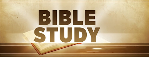 Best Study Bible to Study and Grow in 2021