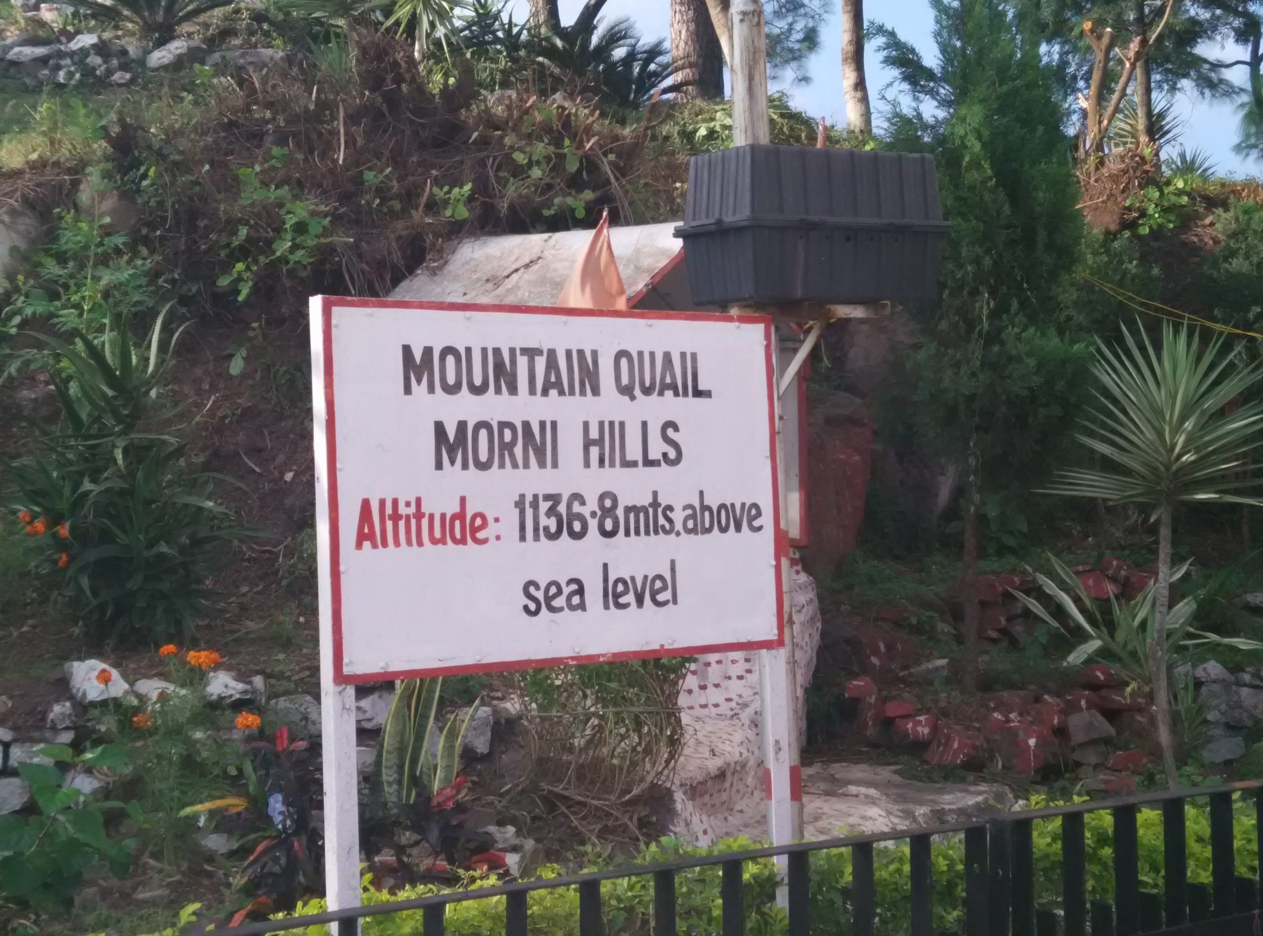 hill stations near Delhi - Morni Hills