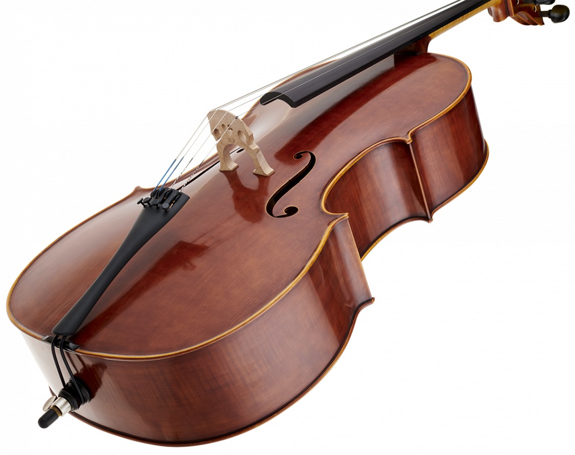 Best Violin Brands for Amateur and Advanced Violinists