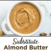 Best Almond Butter Substitute