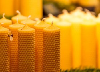 Best Beeswax Candles in 2021