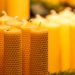 Best Beeswax Candles in 2021