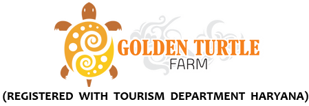 Golden Turtle Farm