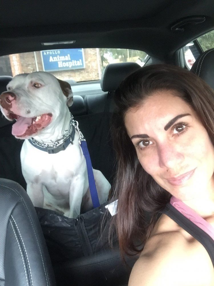 Heather Clem - All About Bubba the Love Sponge’s Ex-Wife