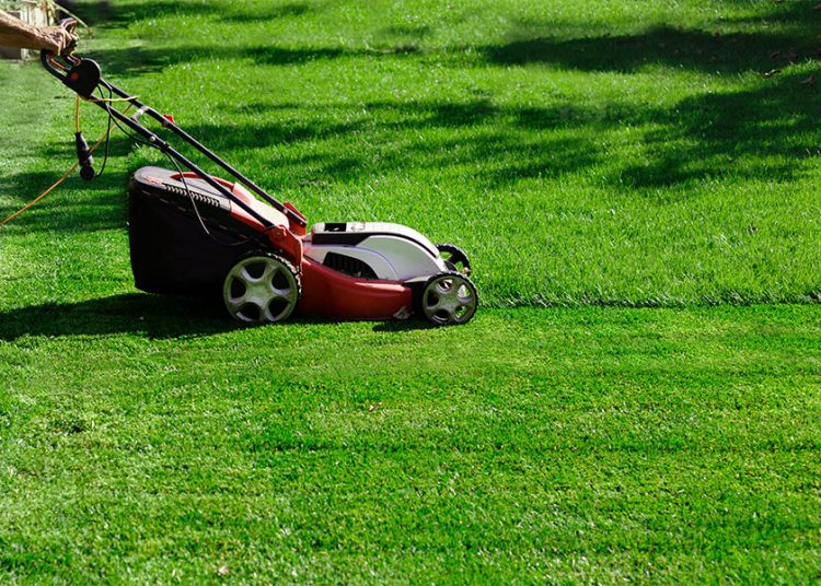 Best Corded Electric Lawn Mower in 2021