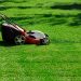 Best Corded Electric Lawn Mower in 2021