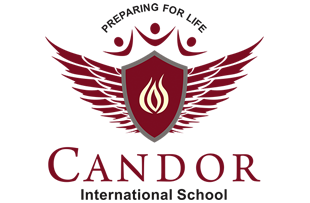 schools in electronic city - Candor global school