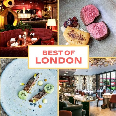 Best London Food to Try on your Next London Trip