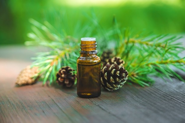  essential oils for congestion - Balsam Fir