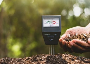 Best Soil pH Tester in 2021 - Buying Guide and Reviews