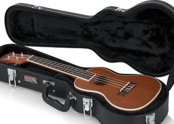 Best Ukulele Hard Case in 2021