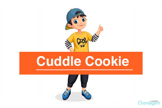 Cuddle Cookie 