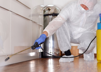 Mohali Municipal Corporation plans to hire 1,000 sanitation workers and sewermen