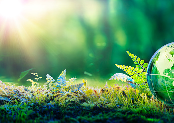 Residents of Sector 20 in Panchkula are pleading for the preservation of their green belt