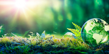 Residents of Sector 20 in Panchkula are pleading for the preservation of their green belt