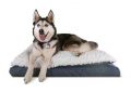 Best Extra Large Dog Beds for Big Dogs