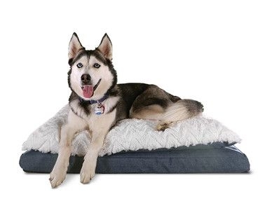 Best Extra Large Dog Beds for Big Dogs