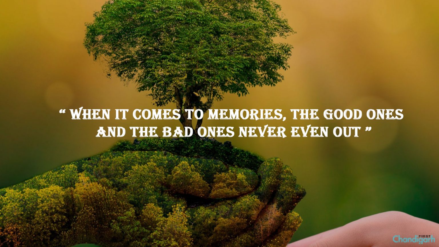 Best Old Memories Quotes You'll Love | ChandigarhFirst.com