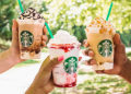 Best Hot Drinks at Starbucks