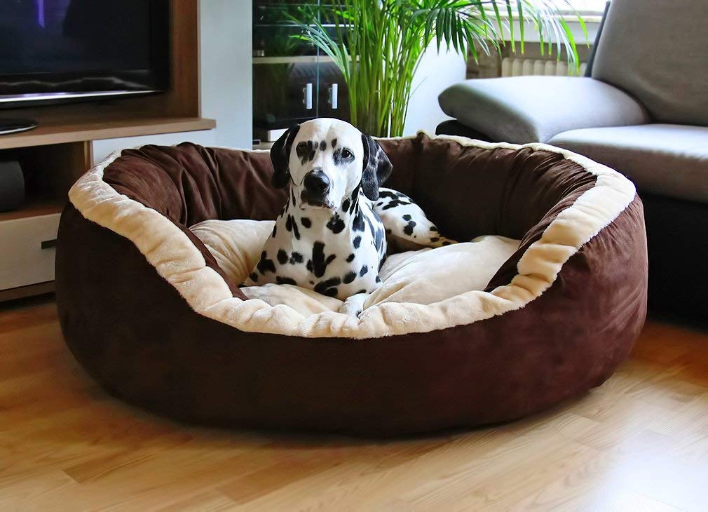 extra large dog beds - Fluffy's Luxurious Reversible Polyester Filled Soft Dual Colour Dog/Cat Bed(Large, Brown)