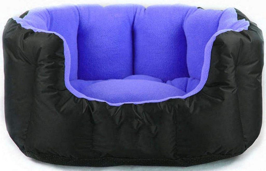 Best Extra Large Dog Beds for Big Dogs Features & Buying Guide