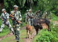Bangladeshi cattle smugglers killed near border in Cooch Behar