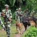 Bangladeshi cattle smugglers killed near border in Cooch Behar